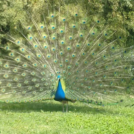 La Bastide Plein Sud De Marignan Villa *