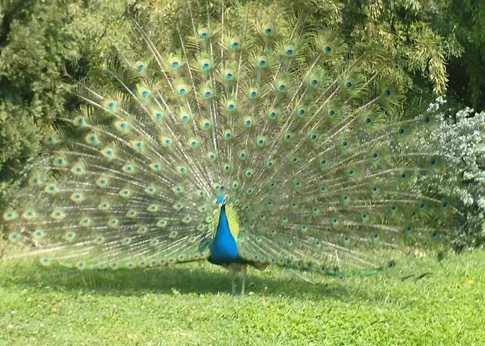 La Bastide Plein Sud De Marignan Villa *