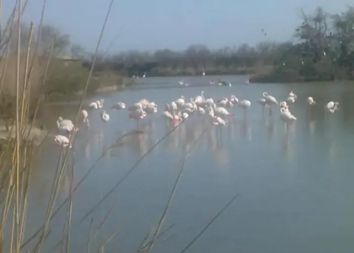 La Bastide Plein Sud De Marignan